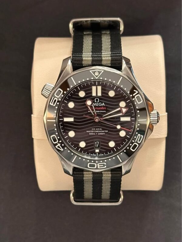 Omega Seamaster 300M Professional 210.30.42.20.01.001