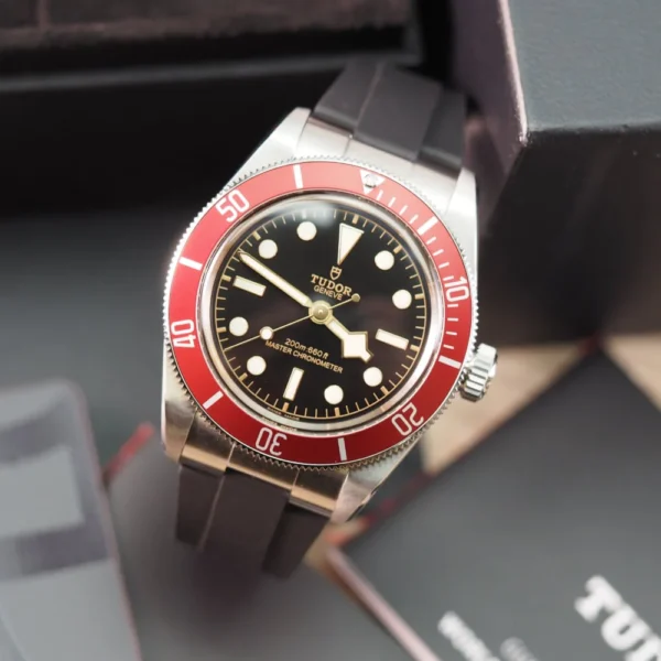 Tudor Black Bay 41 M7941A1A0RU-0002 (2023) Full Set